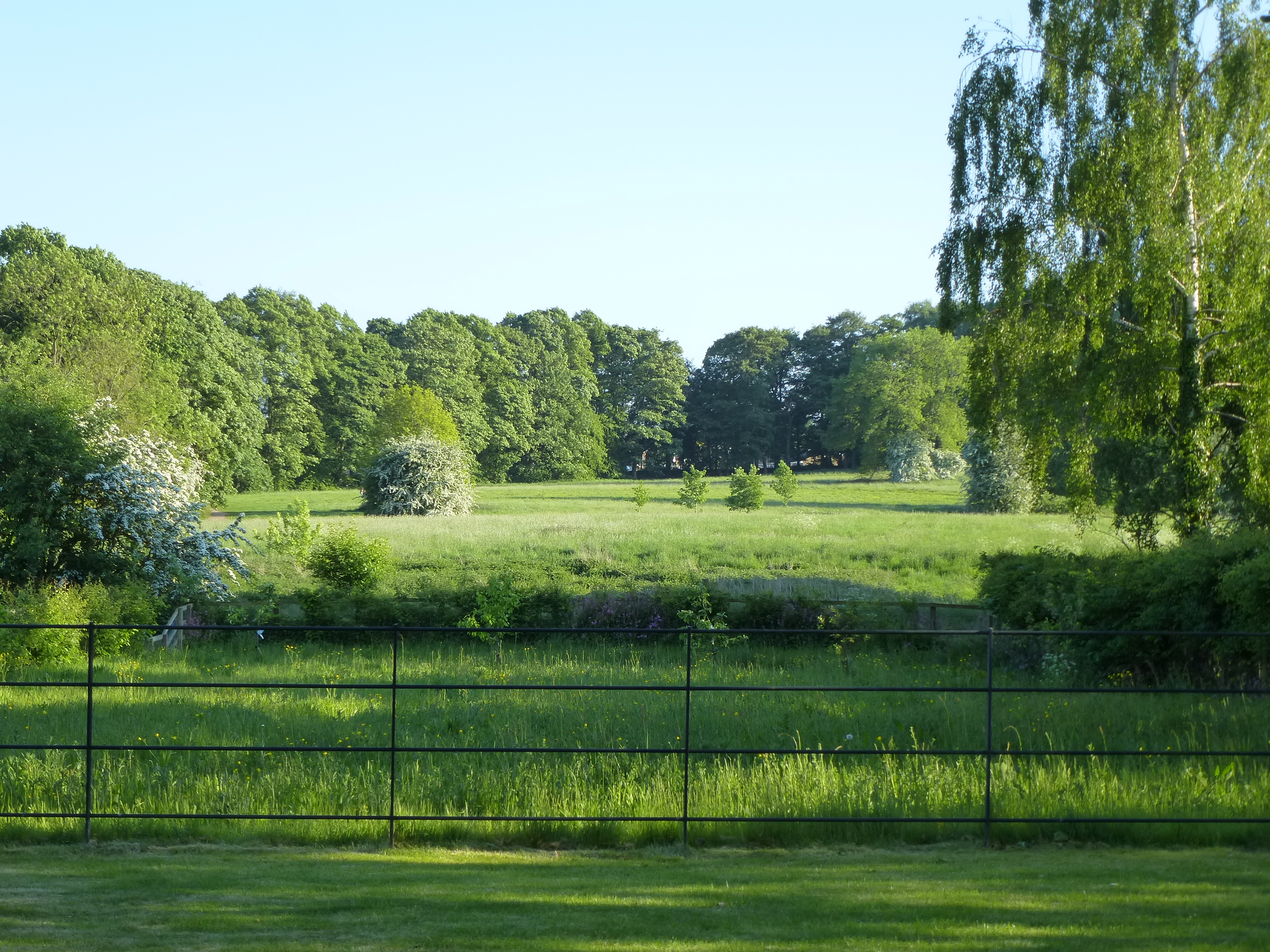 Jacob Smith Family heritage