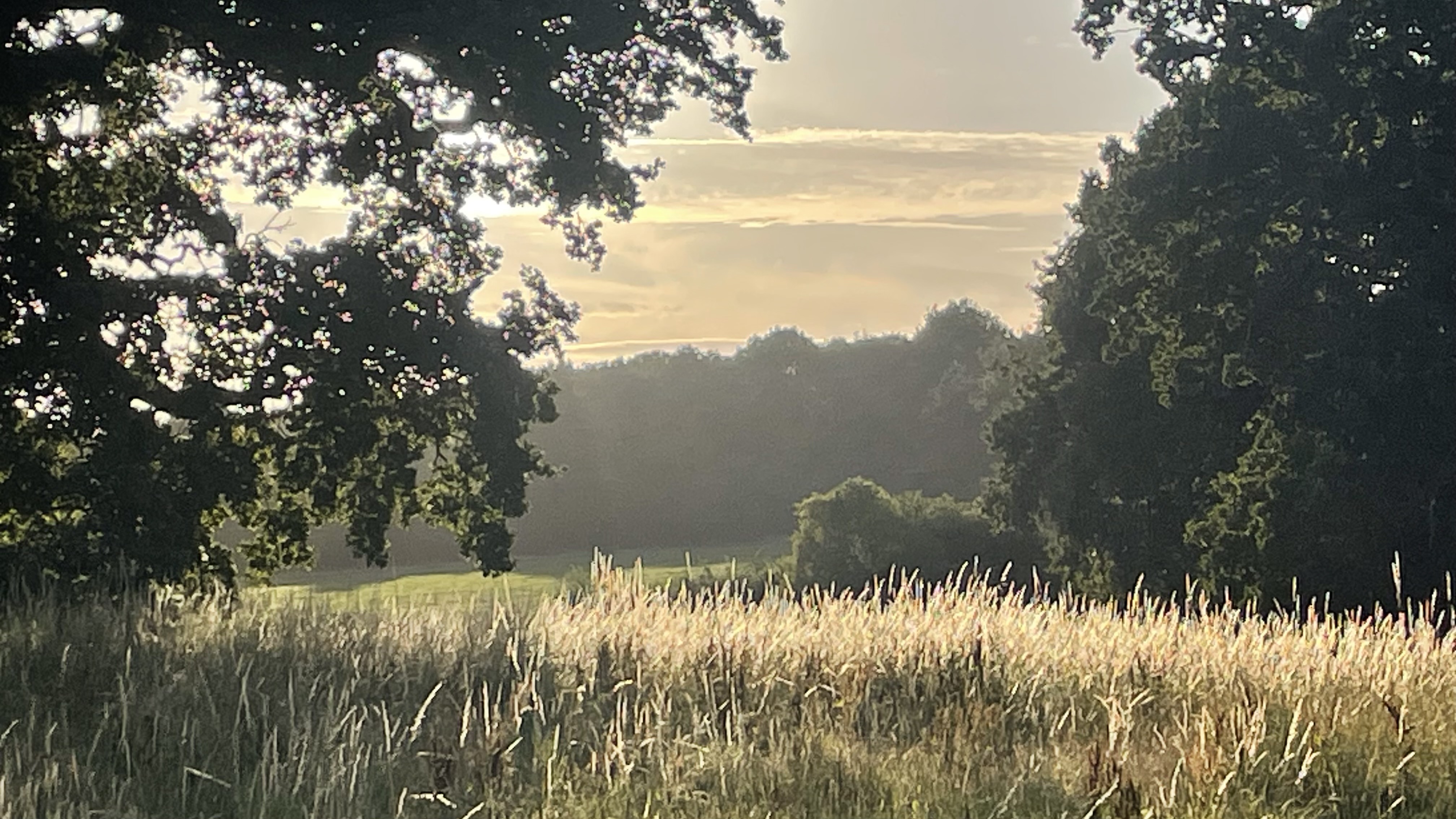 History of Jacob Smith Park